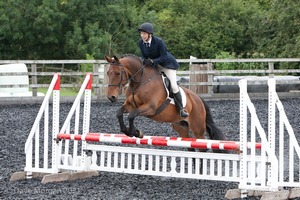 Class 6 - Fences not above 2'9